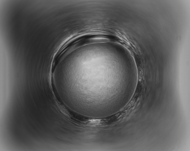 X0000096220052200801181459