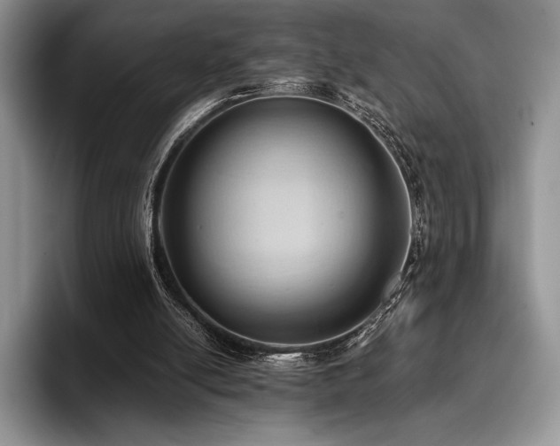 X0000096220054200801181459