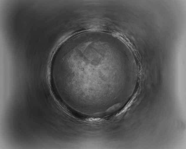 X0000096220055200801181459