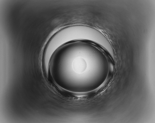 X0000096220056200801181459
