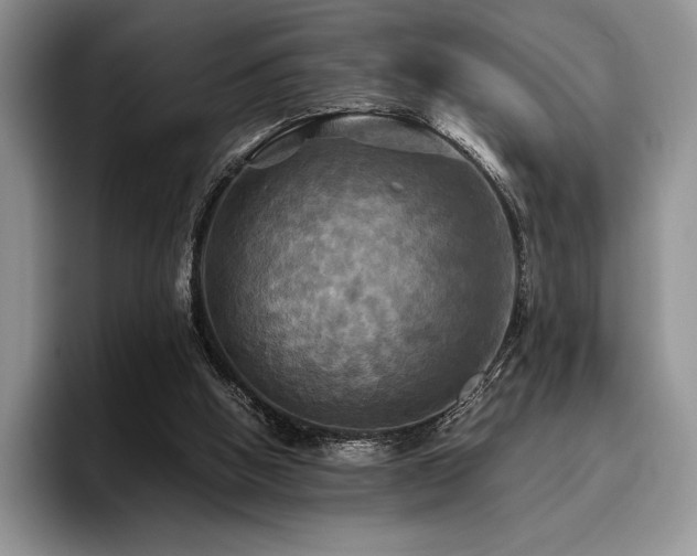 X0000096220058200801181459