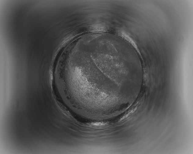 X0000096220059200801181459