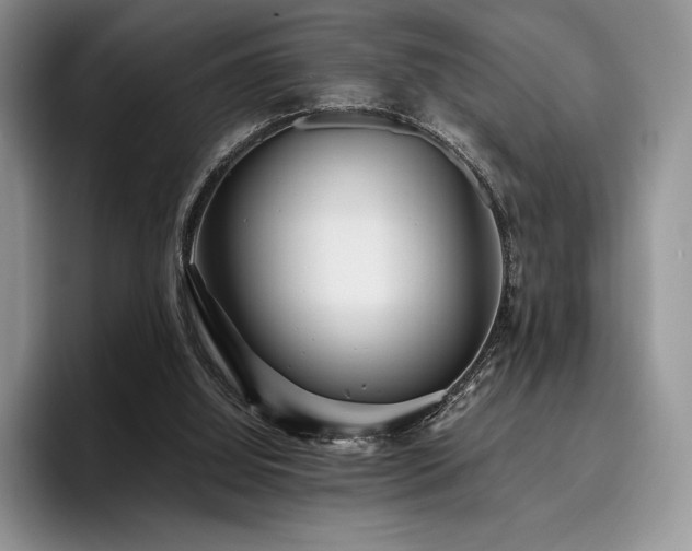 X0000096220060200801181459