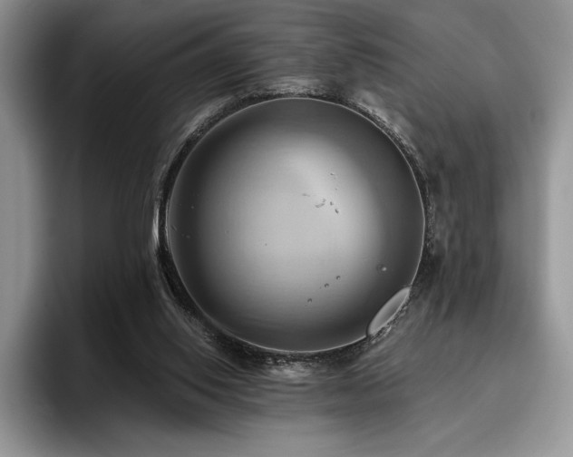 X0000096220062200801181459