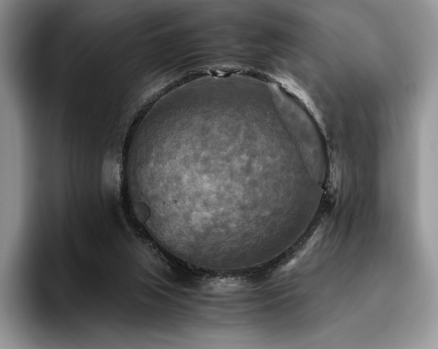 X0000096220063200801181459