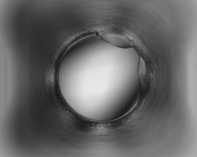 X0000096220064200801181459