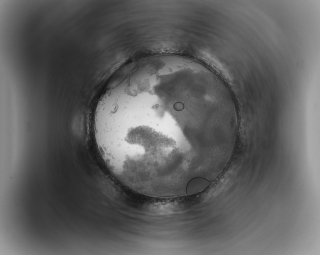 X0000096220065200801181459