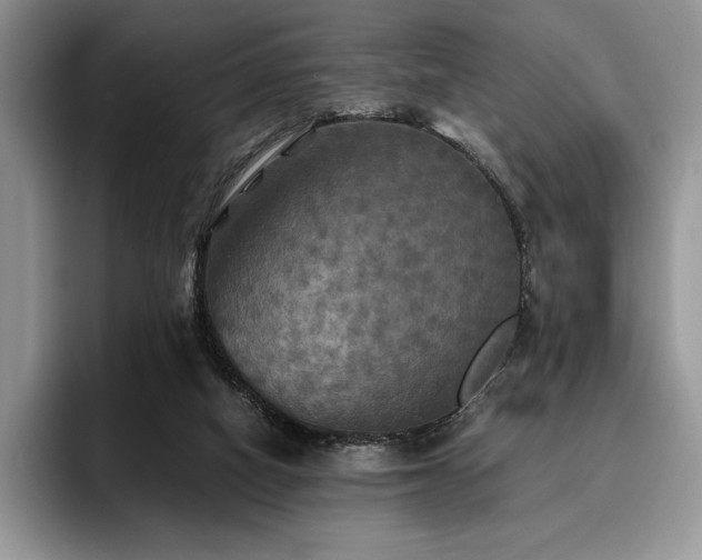 X0000096220066200801181459