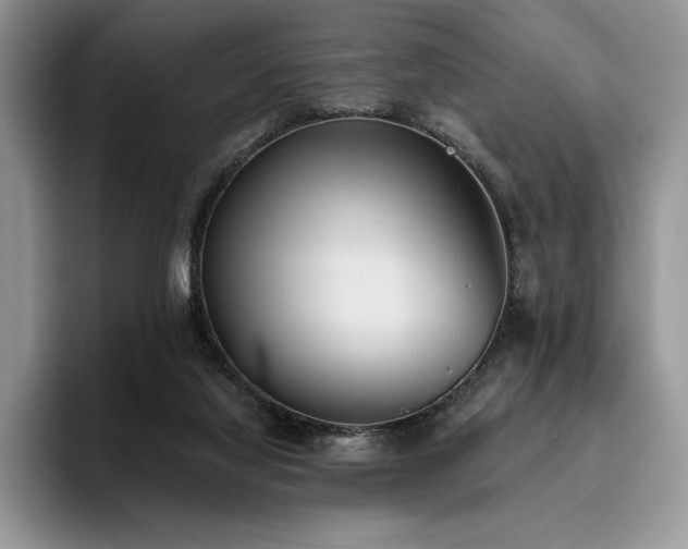 X0000096220068200801181459