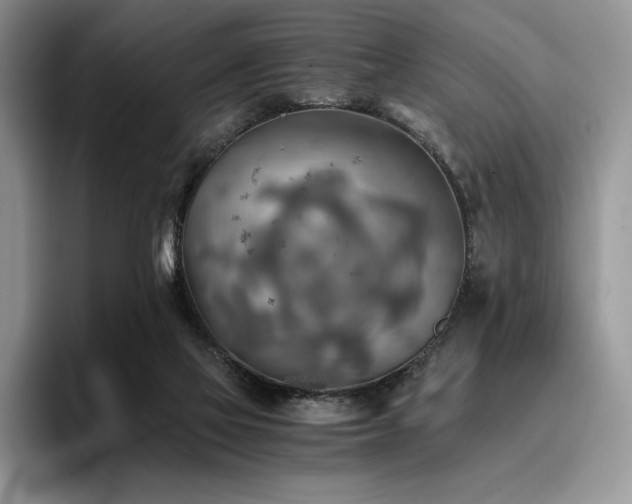 X0000096220069200801181459