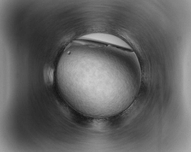 X0000096220070200801181459