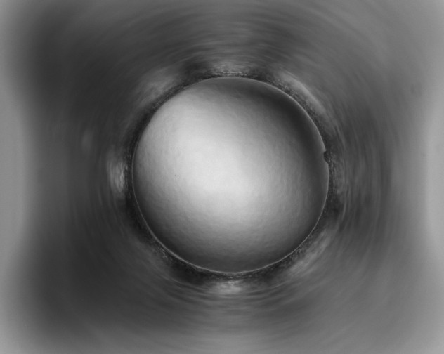 X0000096220071200801181459