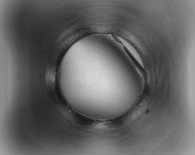 X0000096220072200801181459
