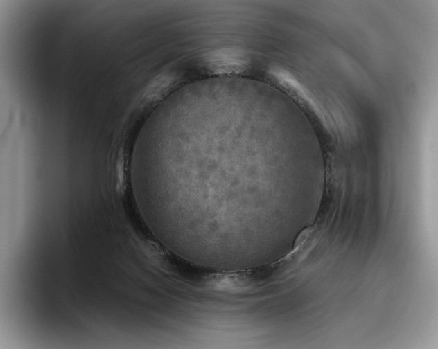 X0000096220074200801181459