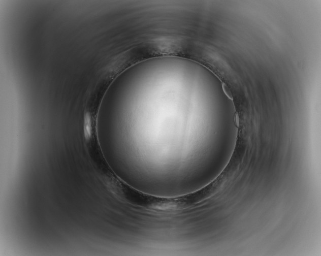 X0000096220075200801181459