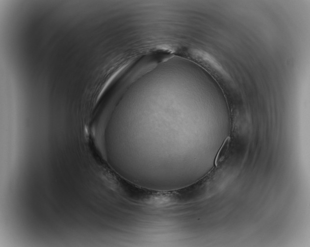 X0000096220076200801181459