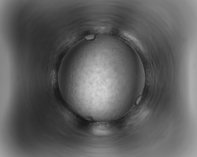 X0000096220077200801181459