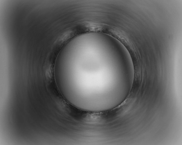 X0000096220078200801181459