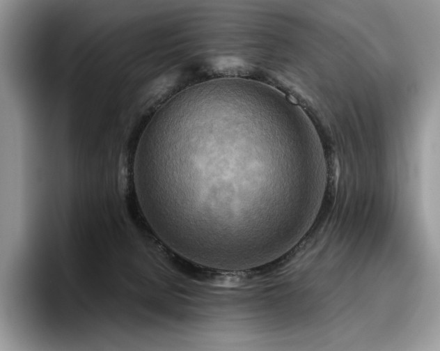 X0000096220080200801181459