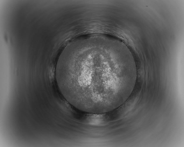X0000096220081200801181459