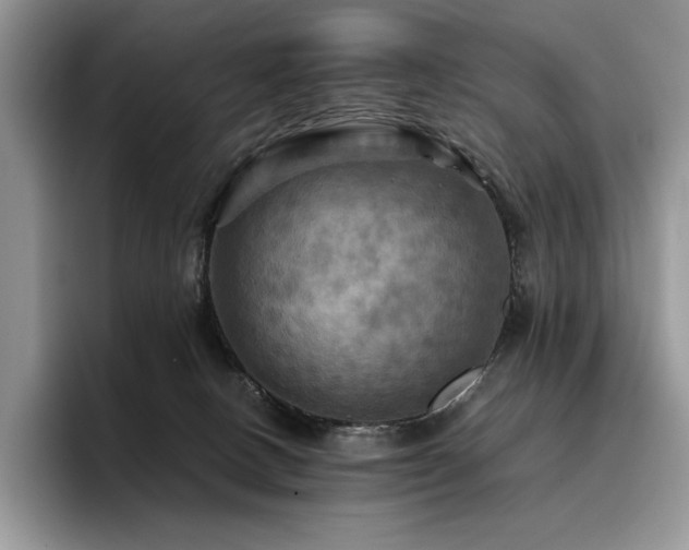 X0000096220082200801181459