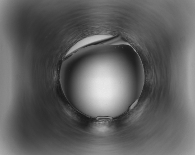 X0000096220084200801181459