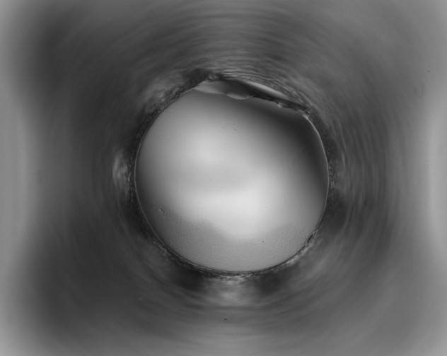 X0000096220086200801181459