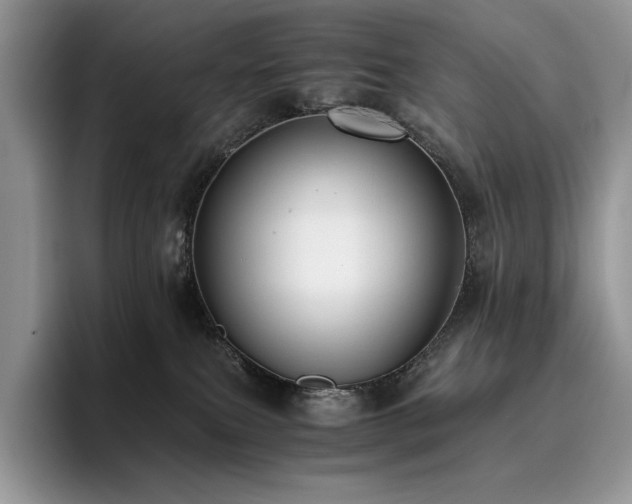 X0000096220087200801181459