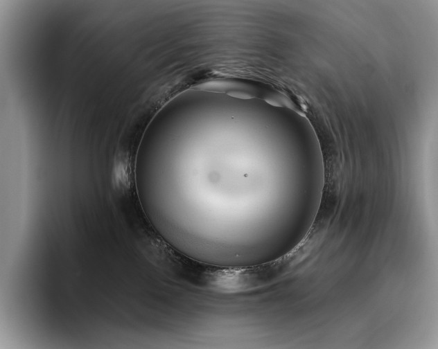 X0000096220090200801181459