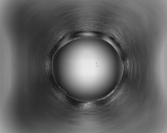 X0000096220092200801181459