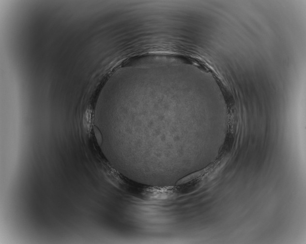 X0000096220093200801181459