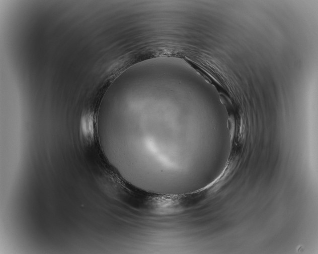 X0000096220094200801181459