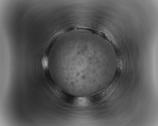 X0000096220095200801181459