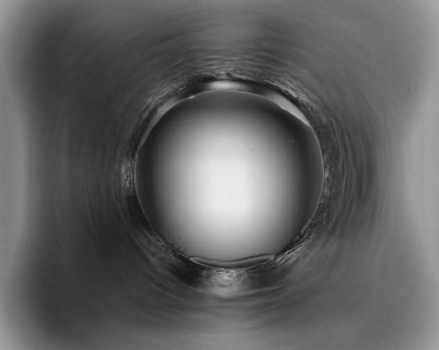 X0000096220096200801181459