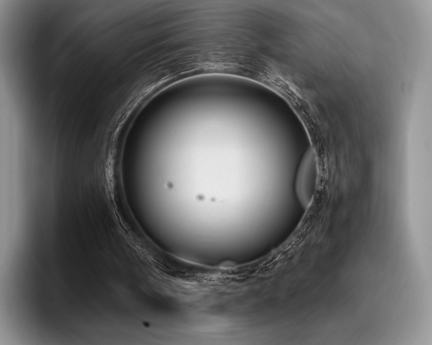 X0000096220098200801181458