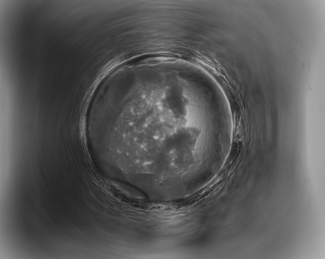 X0000096220099200801181458