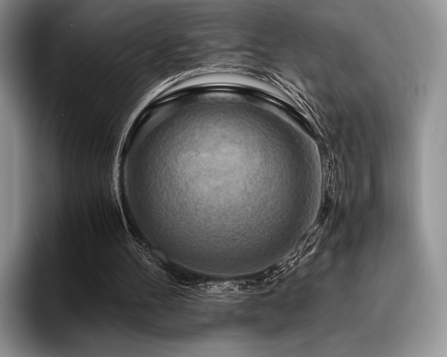 X0000096220100200801181458