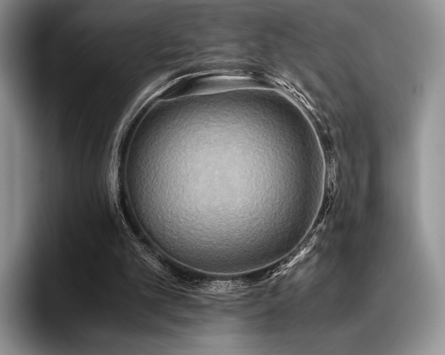 X0000096220101200801181458