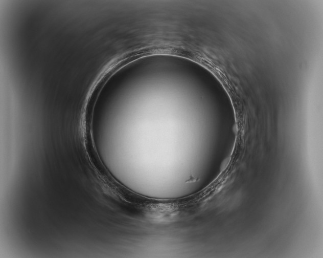 X0000096220102200801181458