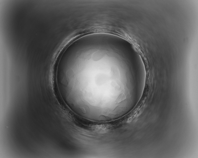 X0000096220103200801181458