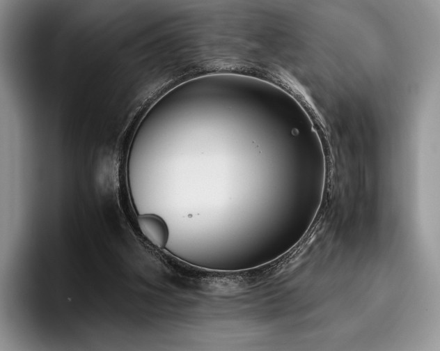 X0000096220106200801181458