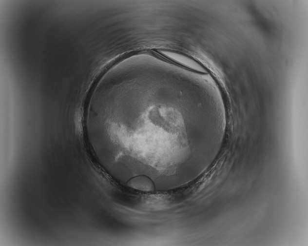 X0000096220107200801181458