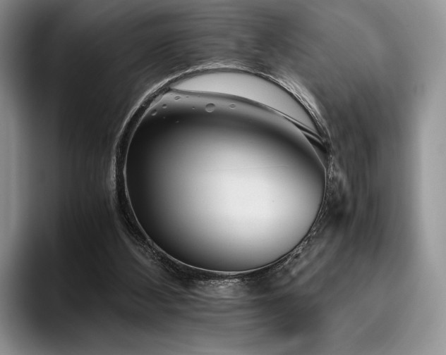X0000096220108200801181458