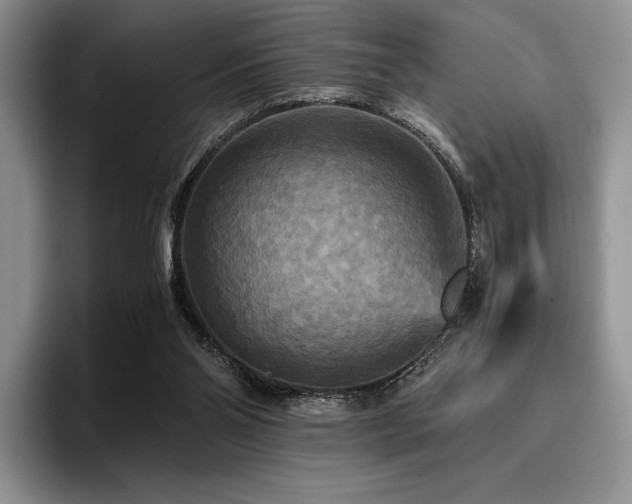 X0000096220110200801181458