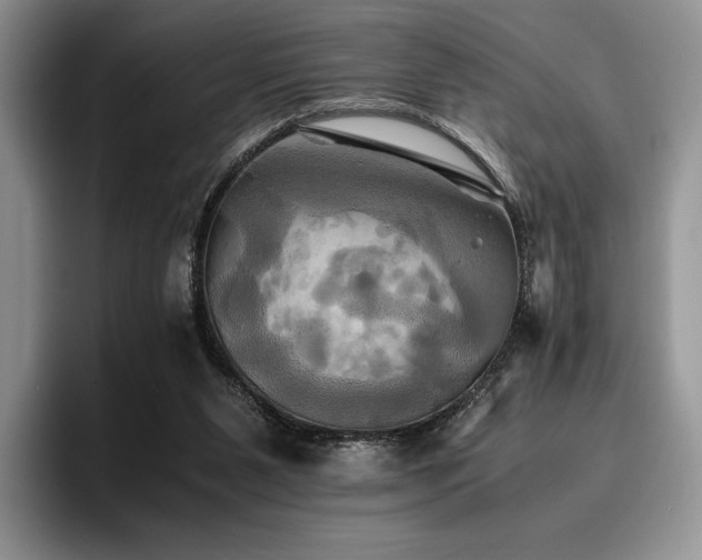 X0000096220111200801181458