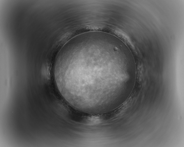 X0000096220114200801181458