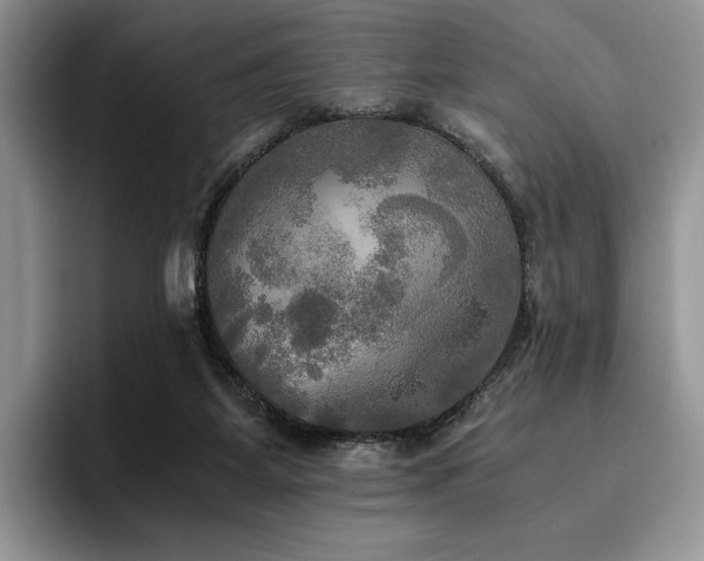 X0000096220115200801181458