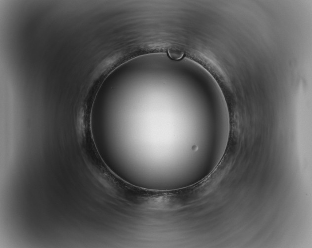 X0000096220116200801181458