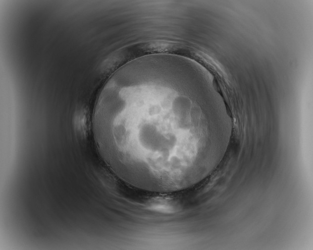 X0000096220119200801181458