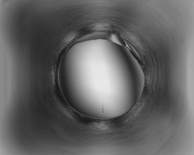 X0000096220120200801181458